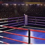 mayweather leovegas