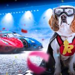 Rizk Race