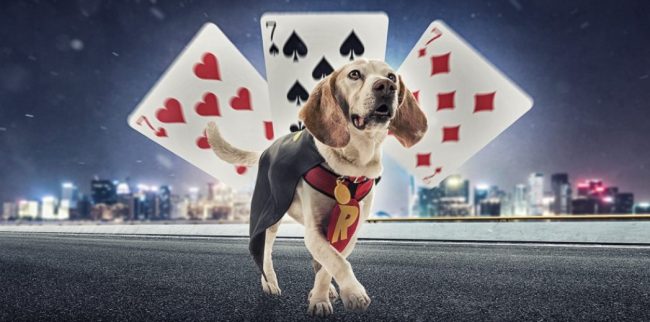 Rizk blackjack